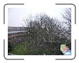 Cambridge snow, Easter 2008 * (3 Slides)